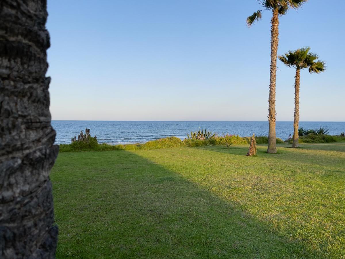 Torrevieja Experience Mar Azul Leilighet Eksteriør bilde