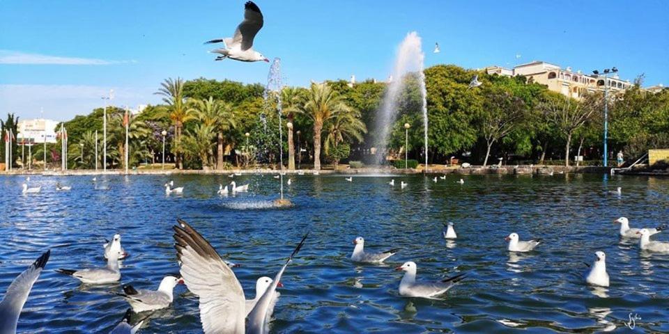 Torrevieja Experience Mar Azul Leilighet Eksteriør bilde